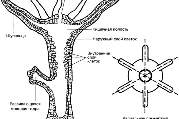 Кракен площадка