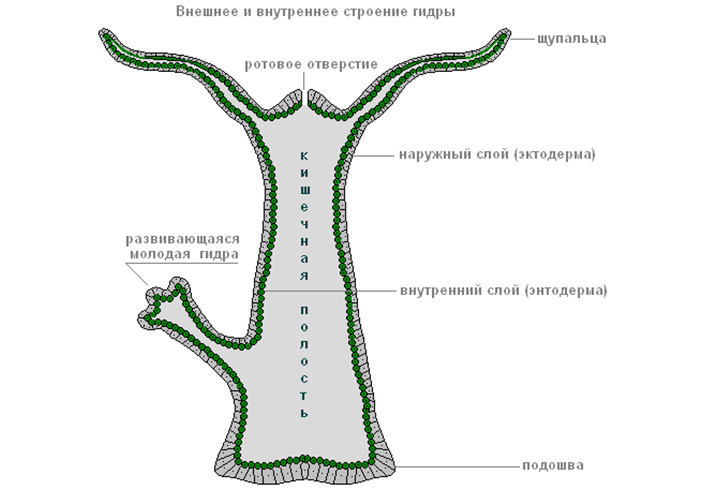 Кракен сайт вход официальный зеркало